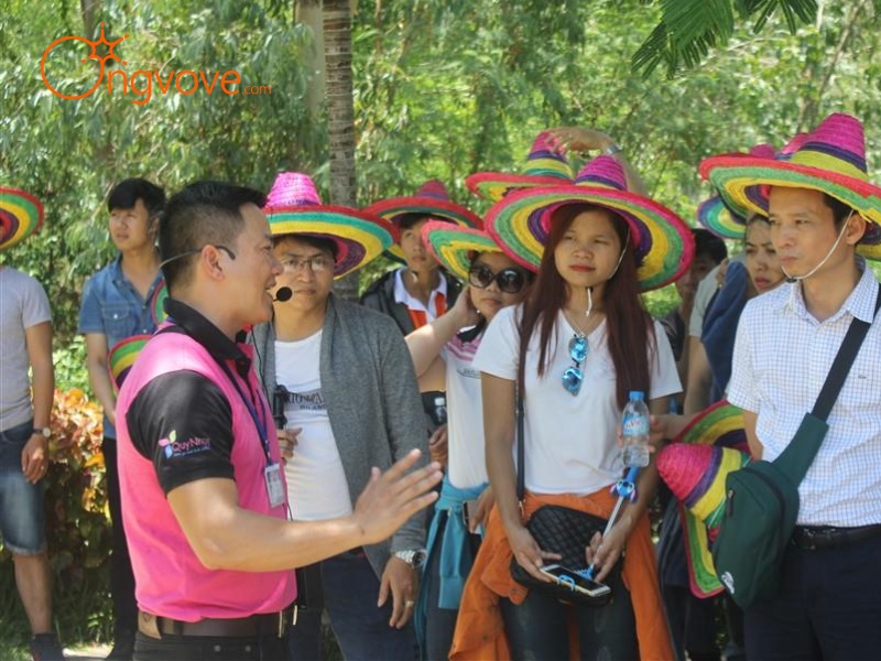 Why Should You Hire a Tour Guide in Quy Nhon?