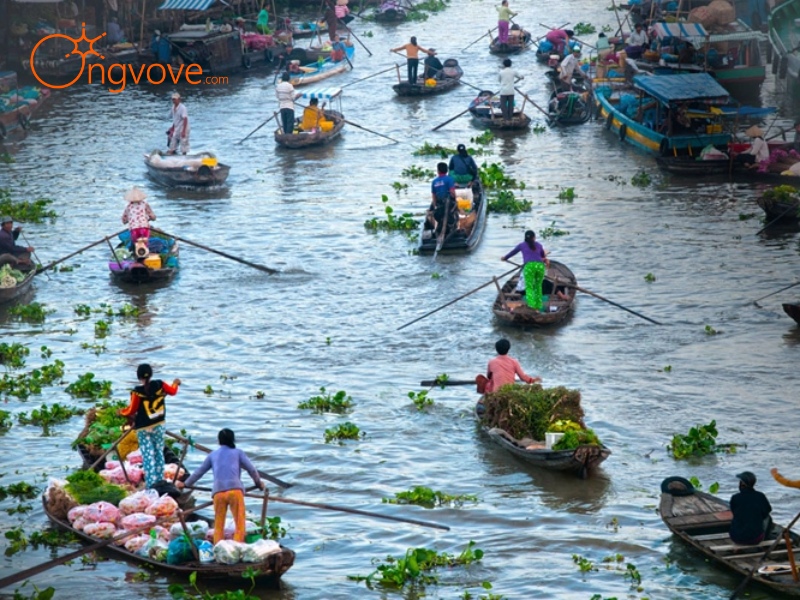 Booking a Tour Guide in Bac Lieu with Ong Vo Ve Travel