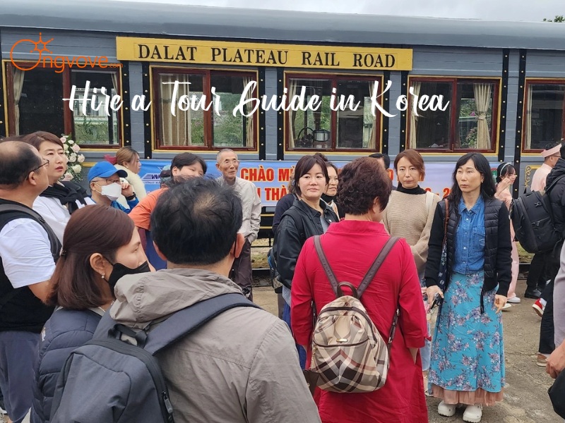 Hire a Tour Guide in Korea