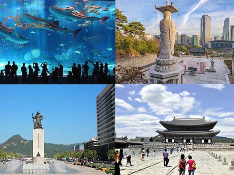 Tour Guide Rental Price List in Korea: What to Expect