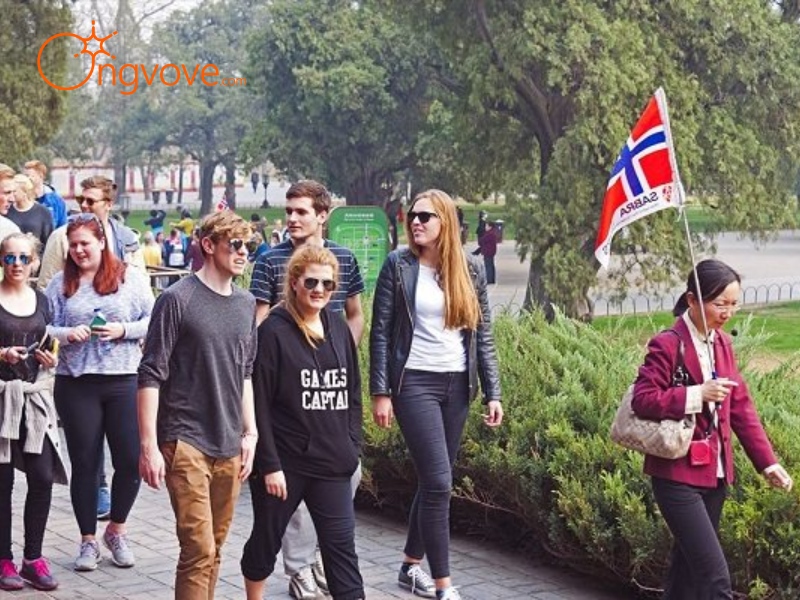Types of Private Tours for Foreigners in Vietnam
