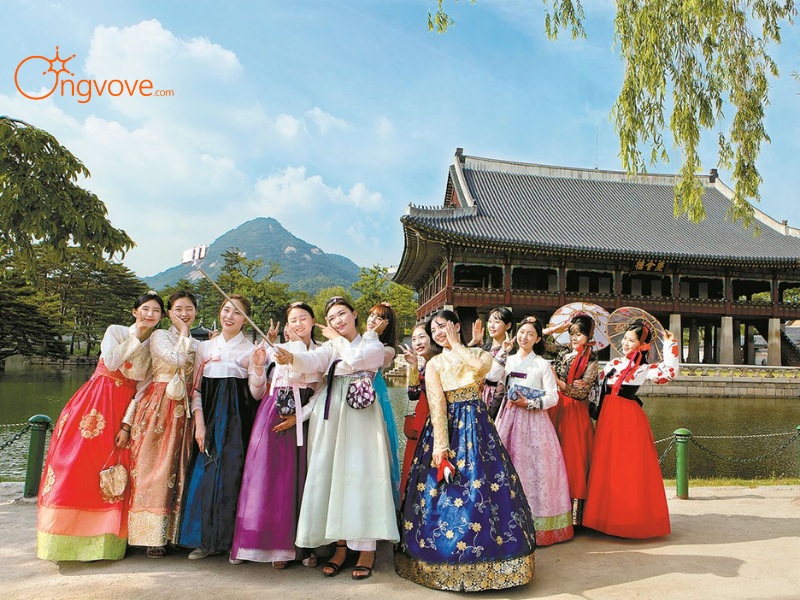 Where to Find a Tour Guide in Korea?