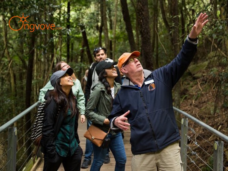 Nature & Wildlife Tour Guides price list