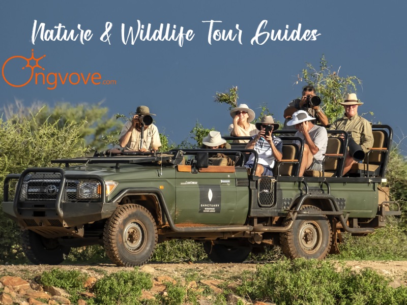 Nature & Wildlife Tour Guides