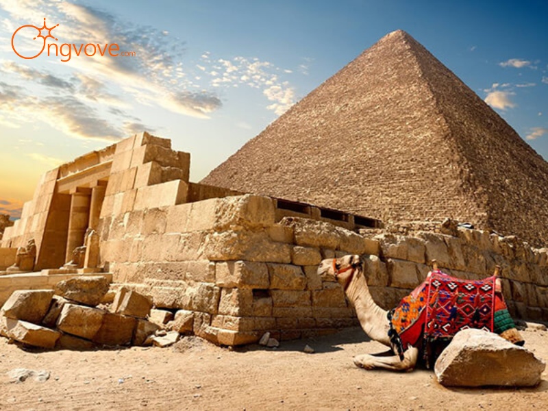 Why Hire a Tour Guide in Egypt?