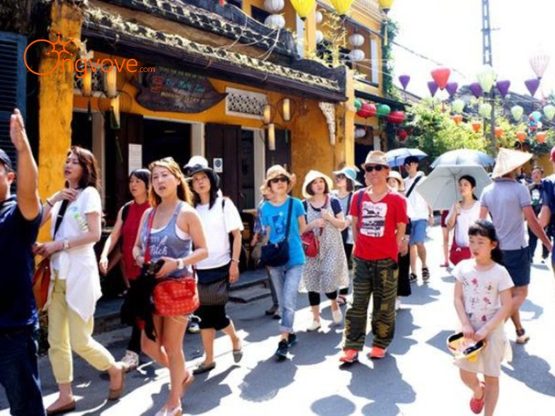 Tips for Booking a Tour Guide in Quang Ngai