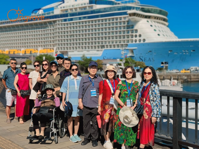 Types of Cruises and Their Tour Guides