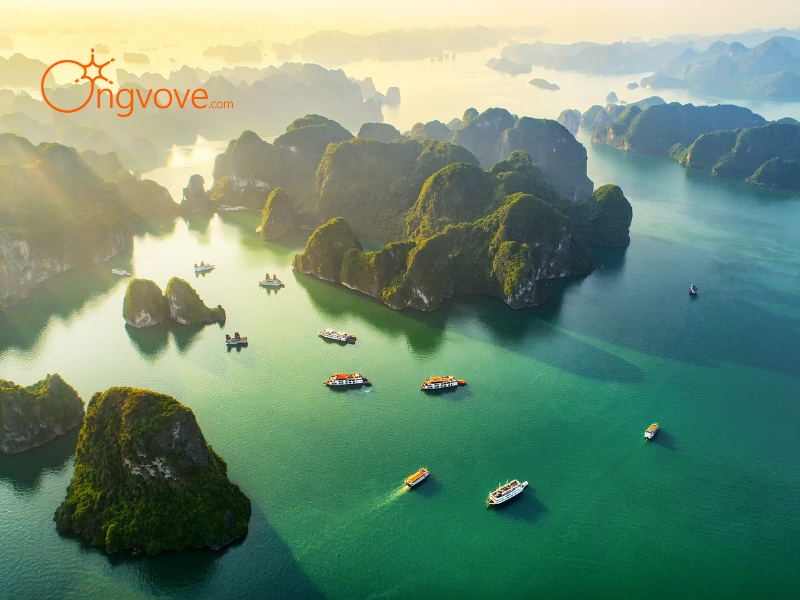 Book Cheap Tour Guide On Ong Vo Ve Travel Platform