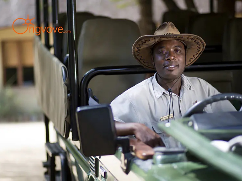 Comparing Tour Guide Rental Prices and Deals
