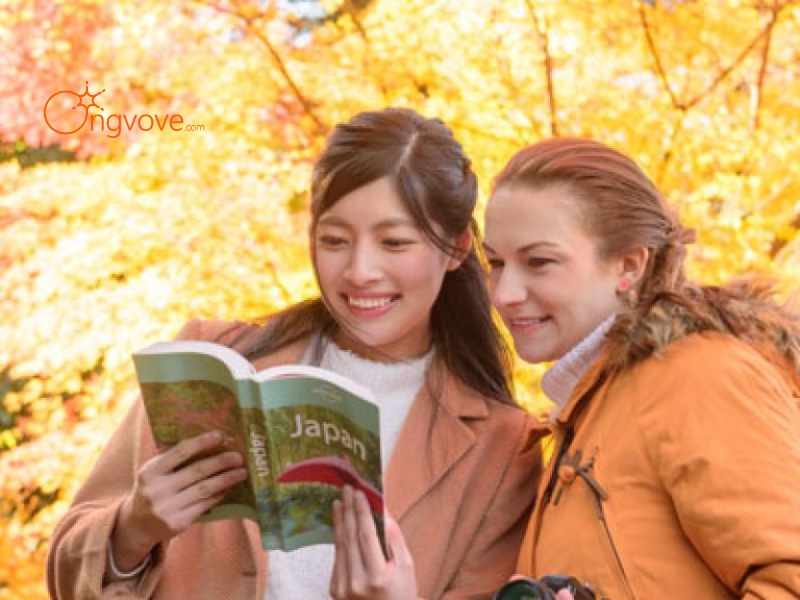 Tips for Traveling with a Japanese-Speaking Tour Guide