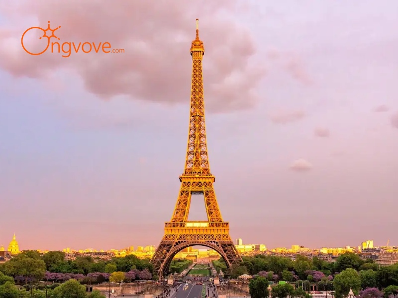 Types of Tours Offered by French-Speaking Guides