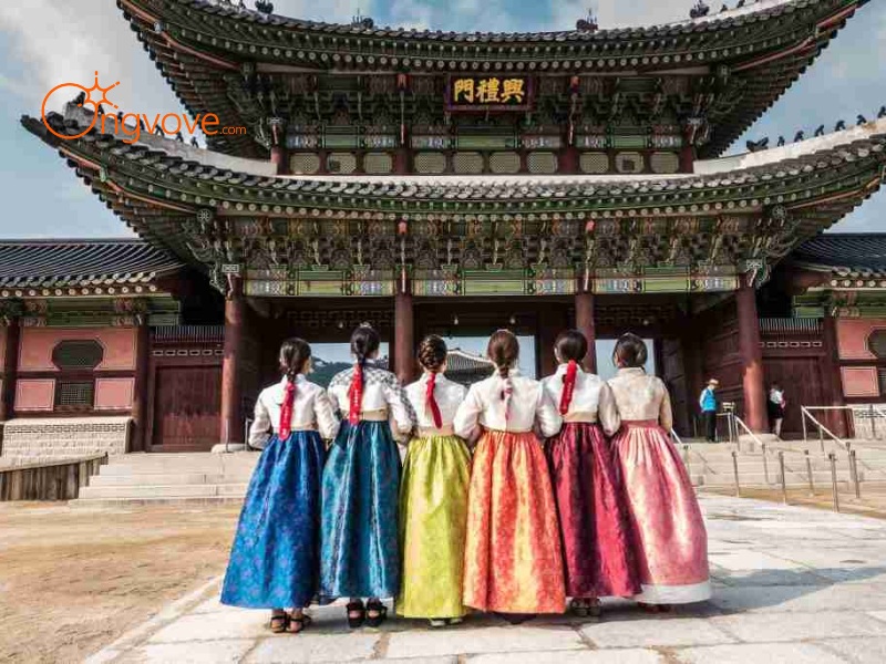 Types of Tours Offered by Korean-Speaking Guides