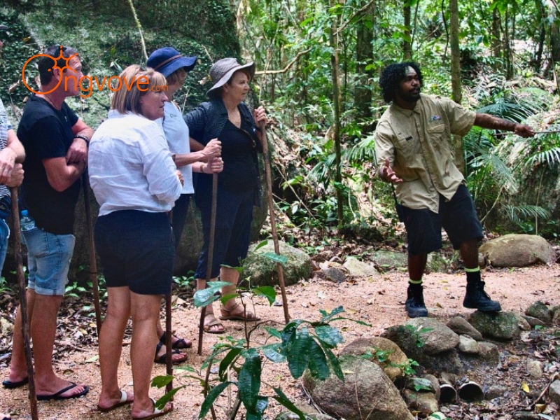 Understanding the Role of a Spanish Speaking Tour Guide