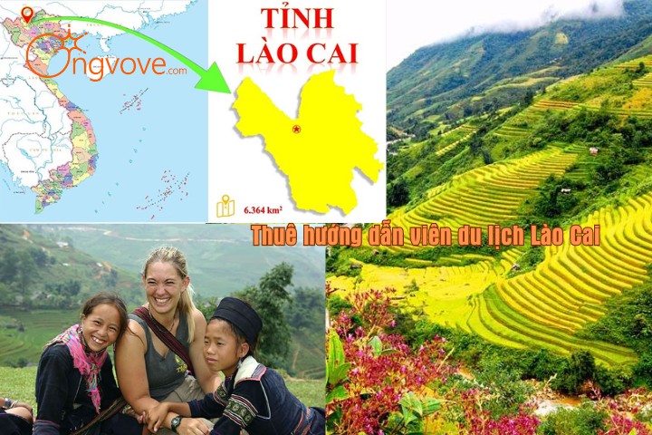 Thuê Hướng Dẫn Viên Tiếng Anh Tại Lào Cai