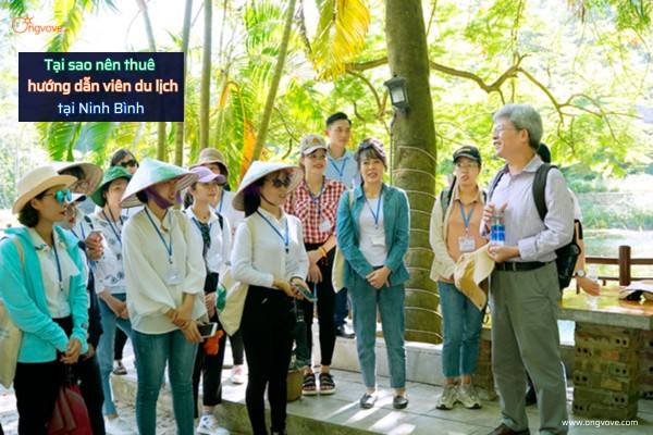 Các Loại Hình Thuê Hướng Dẫn Viên Tiếng Anh Tại Đắk Lắk