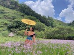 Bắc Hà