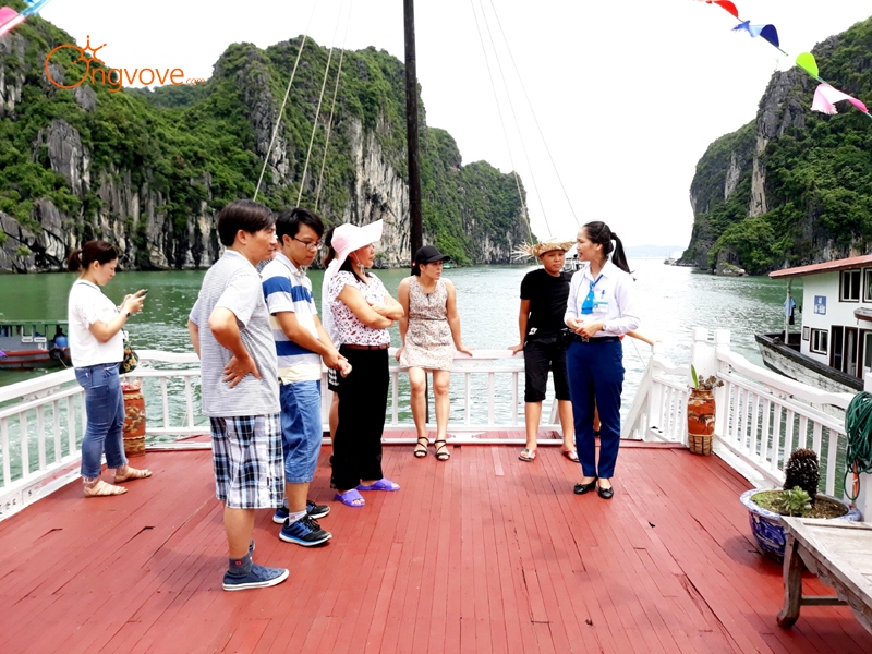 Tại Sao Bạn Cần Một Tour Guide Quảng Ninh?