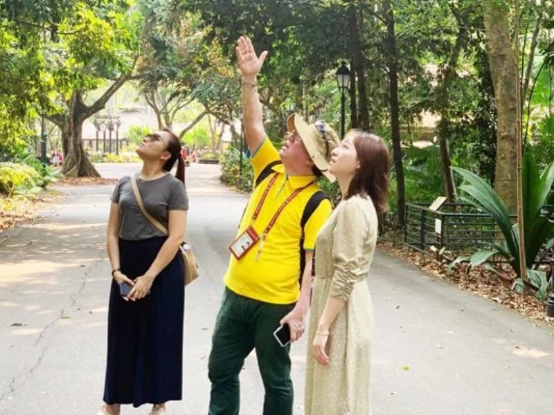 Tại Sao Bạn Cần Một Tour Guide Hòa Bình?