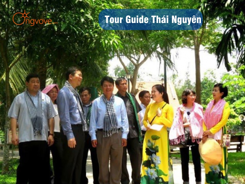 Tour Guide Thái Nguyên: Khám Phá Vùng Đất Xanh Tươi