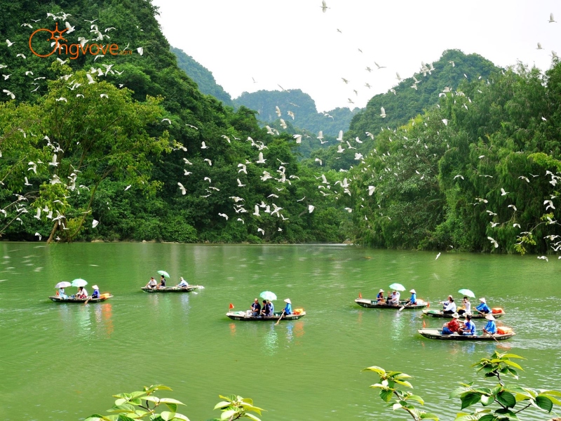 Các Loại Hình Tour Đa Dạng Tại Tam Cốc - Bích Động