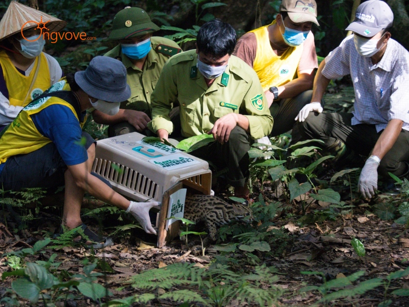 Các Loại Hình Tour Đa Dạng Tại Vườn Quốc Gia Cúc Phương