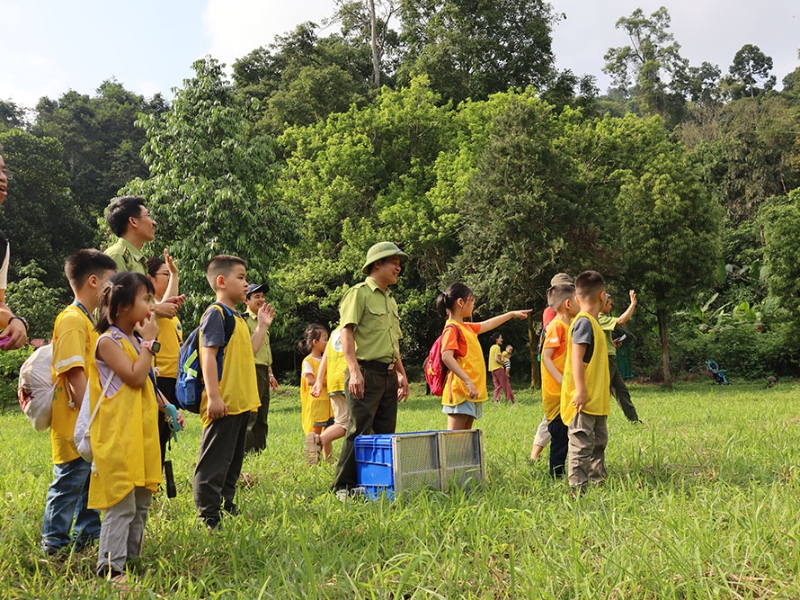 Chọn Lựa Tour Guide Vườn Quốc Gia Cúc Phương Phù Hợp Với Nhu Cầu Của Bạn