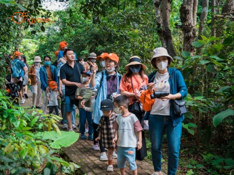 Tại Sao Bạn Cần Một Tour Guide Vườn Quốc Gia Cúc Phương?