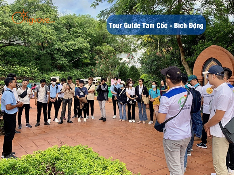 Tour Guide Tam Cốc - Bích Động