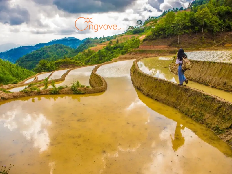 Cách Di Chuyển Đến Ruộng Bậc Thang Hoàng Su Phì