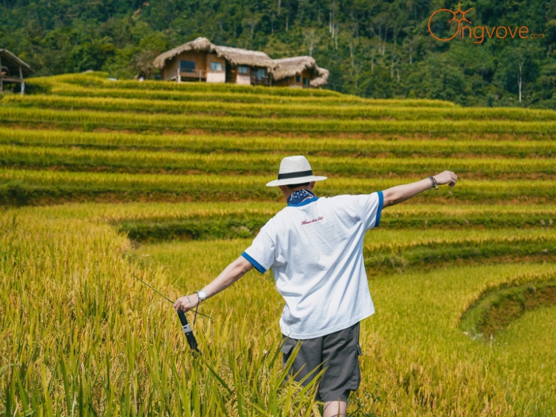 Sử Dụng Các Dịch Vụ Du Lịch "Ruộng bậc thang Hoàng Su Phì Hà Giang tự túc" Tại Nền Tảng Ong Vò Vẽ Travel