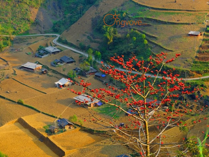 Thời điểm lý tưởng để khám phá Hẻm Tu Sản