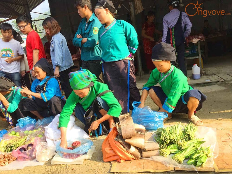 Chi Phí Dự Kiến Du Lịch "Chợ Hoàng Su Phì Hà Giang tự túc"