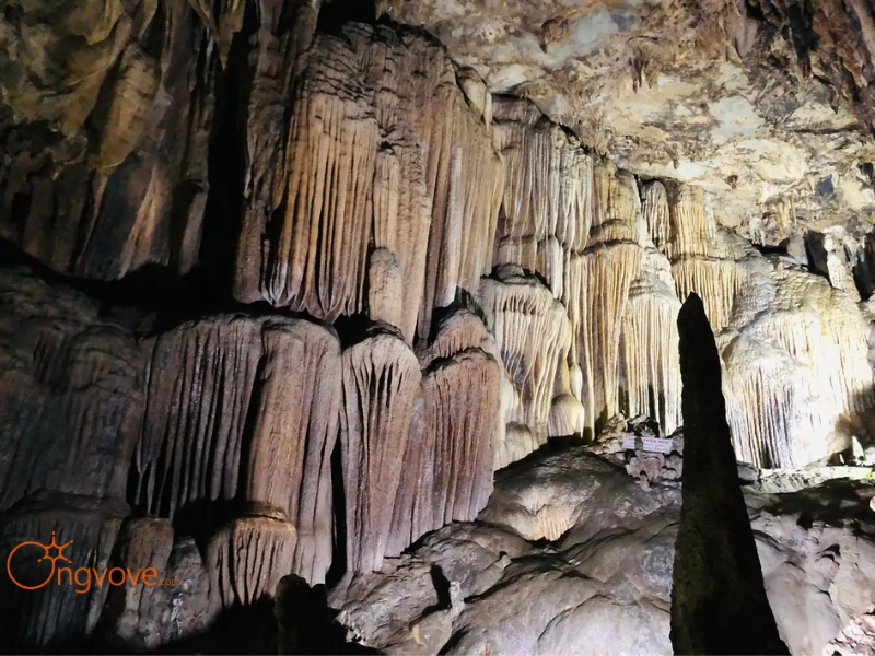 Sử dụng các dịch vụ du lịch "Hang Động Lùng Khúy Hà Giang tự túc" tại nền tảng Ong Vò Vẽ Travel