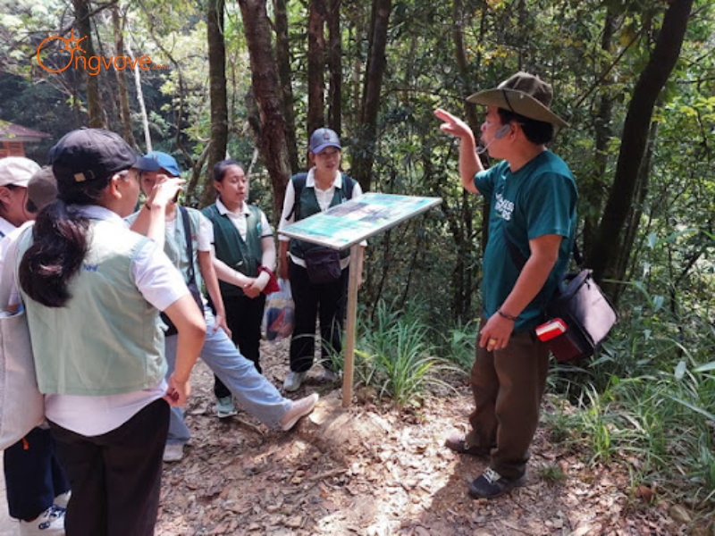 Tại Sao Bạn Cần Một Tour Guide Vườn Quốc Gia Bạch Mã?