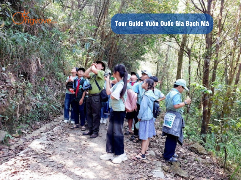 Tour Guide Vườn Quốc Gia Bạch Mã