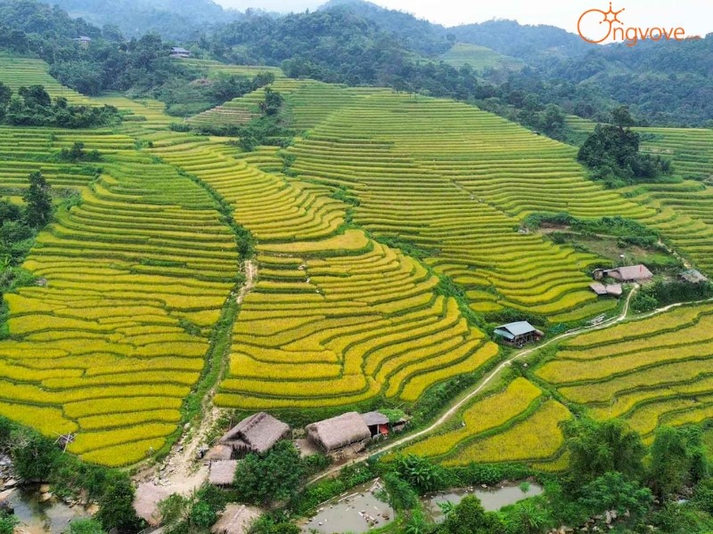 Cảnh đẹp của Nà Thác Palms Hà Giang