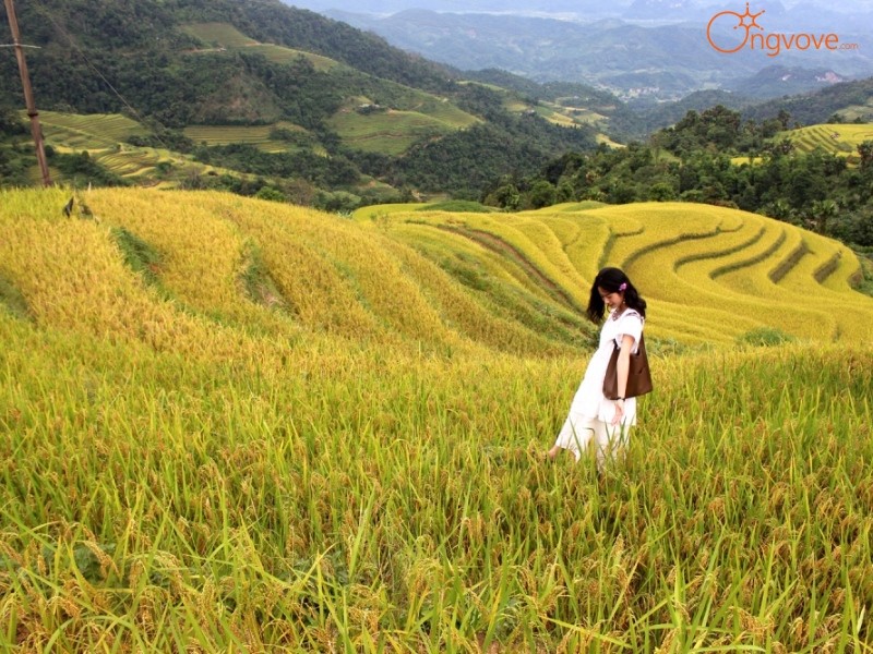 Kinh nghiệm khám phá Nà Thác Palms Hà Giang tự túc