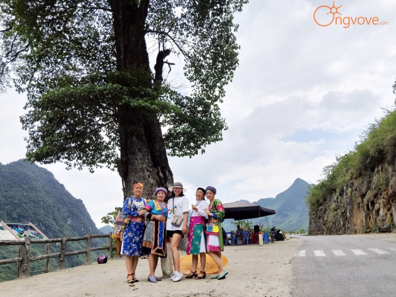 Sử Dụng Các Dịch Vụ Du Lịch "Cây Cô Đơn Hà Giang Tự Túc" Tại Nền Tảng Ong Vò Vẽ Travel