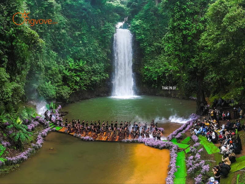 Chọn Lựa Tour Guide Măng Đen Phù Hợp Với Nhu Cầu Của Bạn