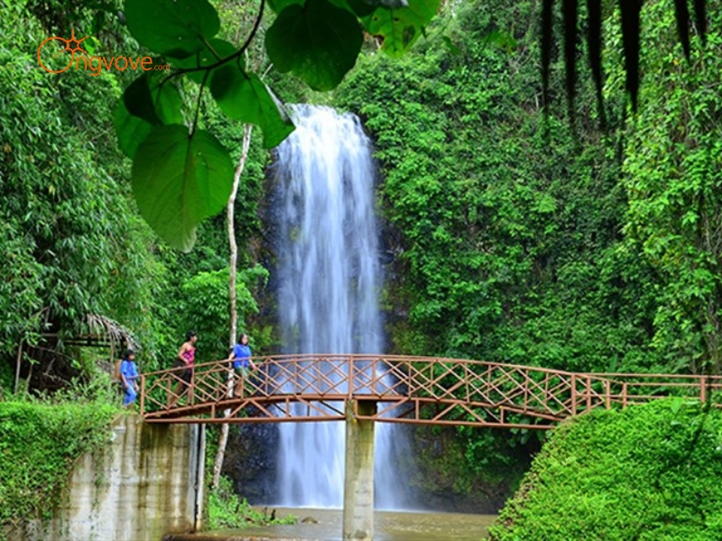 Kinh Nghiệm Du Lịch Măng Đen Với Hướng Dẫn Viên