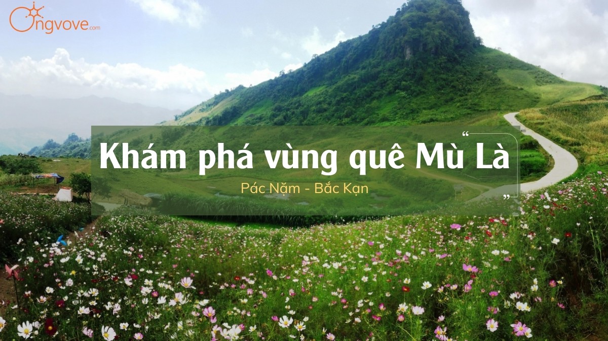 Khám phá Mù Là Bắc Kạn tự túc, tận hưởng yên ả của vùng quê