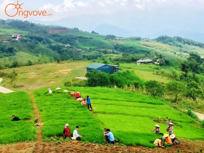 Mù Là Bắc Kạn – Tận hưởng bầu không khí trong lành và vẻ đẹp hoang sơ