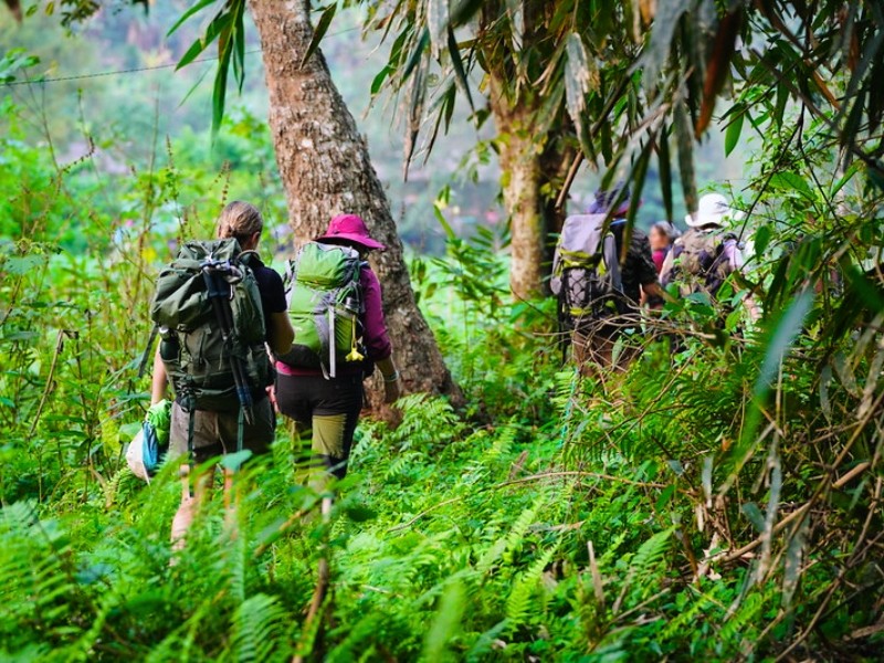 Trekking khám phá rừng núi