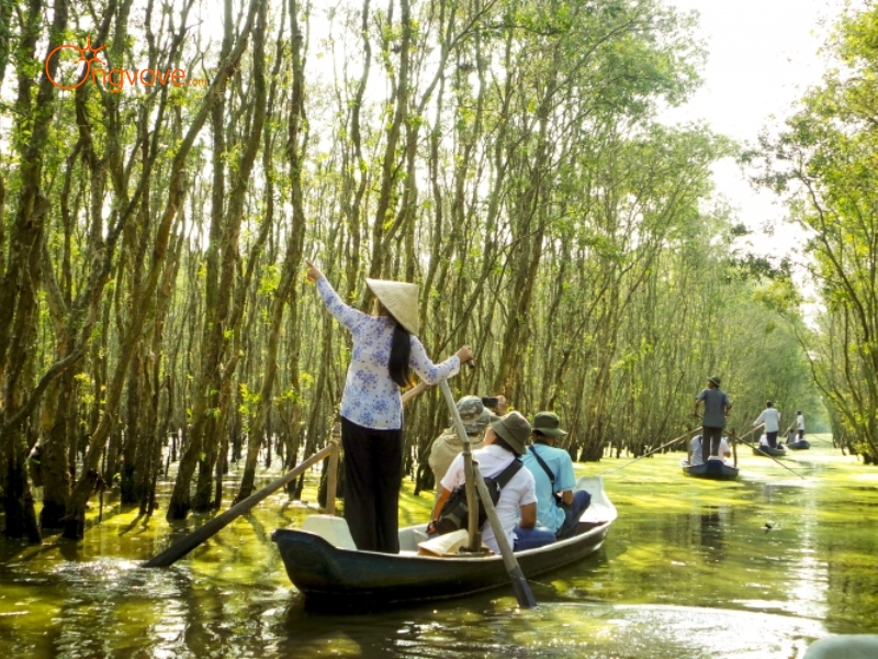 Tại Sao Bạn Cần Một Tour Guide Bạc Liêu?