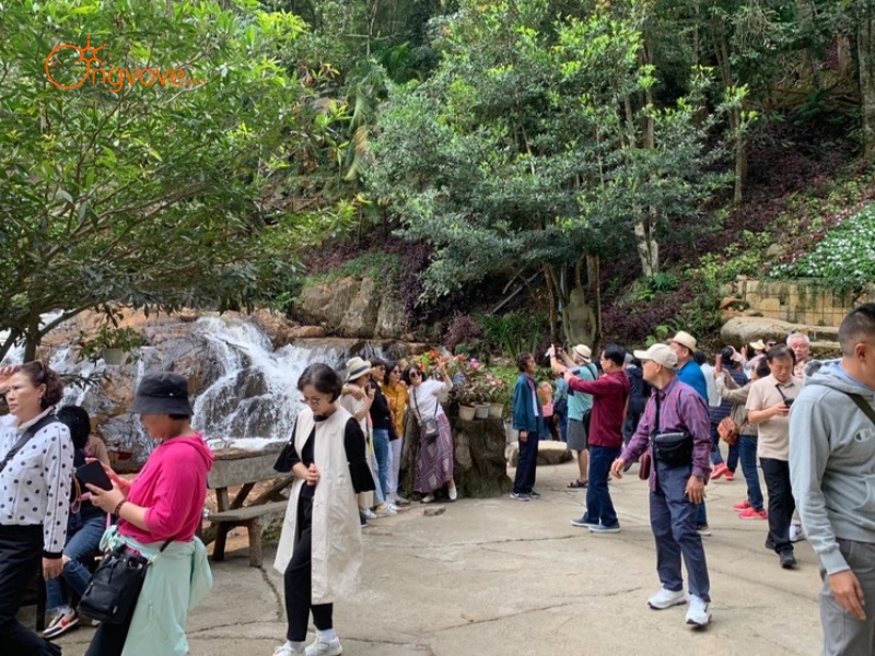 Tại Sao Bạn Cần Một Tour Guide Đà Lạt?