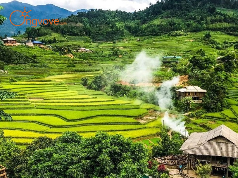 Lợi Ích Tuyệt Vời Khi Thuê Hướng Dẫn Viên Tiếng Trung Tại Bảo Lộc