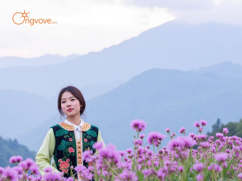 Các Loại Hình Thuê hướng dẫn viên du lịch Bãi đá cổ Sapa