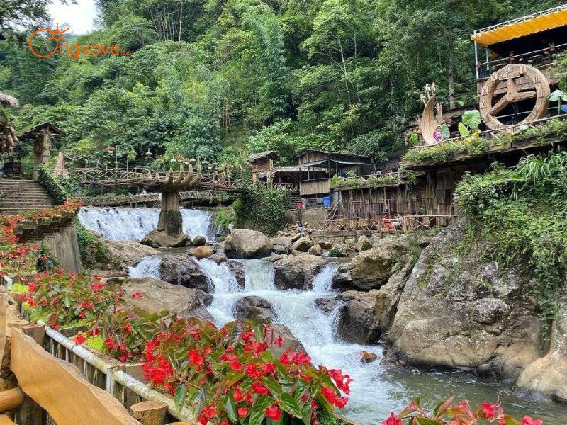 Tại Sao Cần Thuê Hướng Dẫn Viên Đi Bản Cát Cát?
