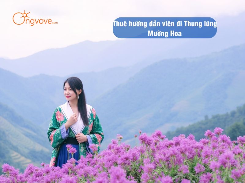 Thuê hướng dẫn viên đi Thung lũng Mường Hoa