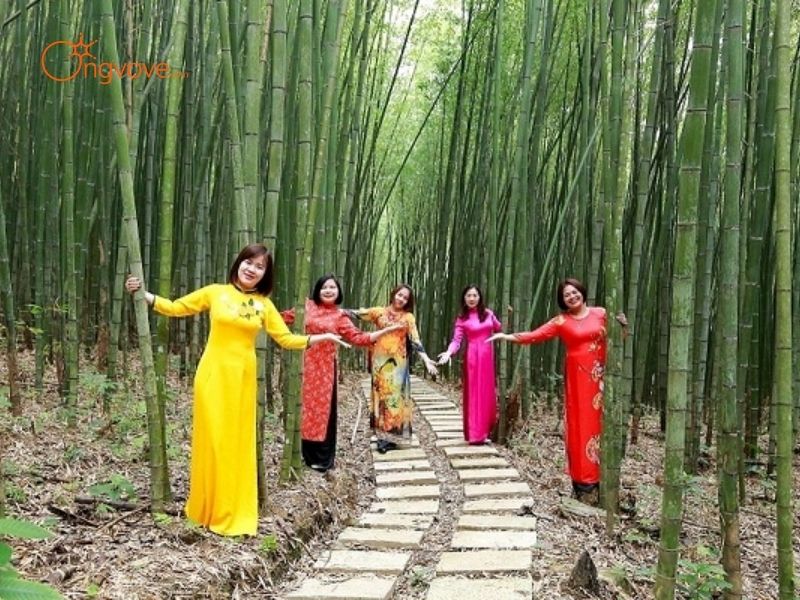 Hướng dẫn viên đi bộ đường rừng